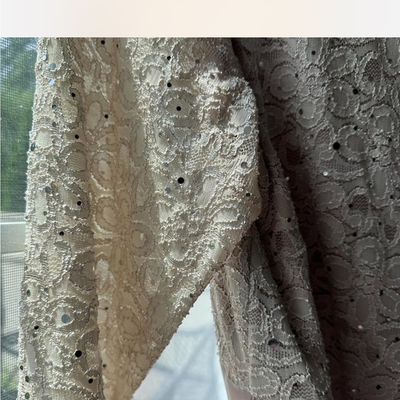 Elegant Champagne Lace and Shantung Evening Gown - Picture 3 of 8